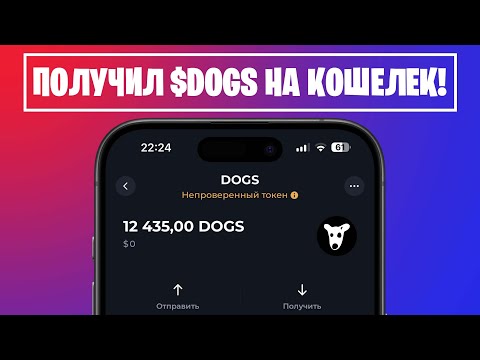 ВЫВЕЛ DOGS НА ТОН КОШЕЛЕК ТОНКИПЕР? (КАК ПОЛУЧИТЬ ДРОП МОНЕТ ДОГС)