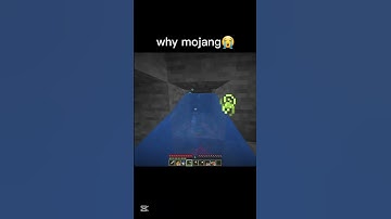 Why mojang😭 #shorts #ytshorts #minecraft #gaming #trending #mojang