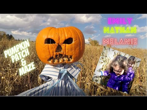 the amazing maze and pumpkin patch