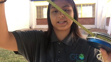 How to Measure Tree Diameter Using Biltmore Stick and Diameter Tape