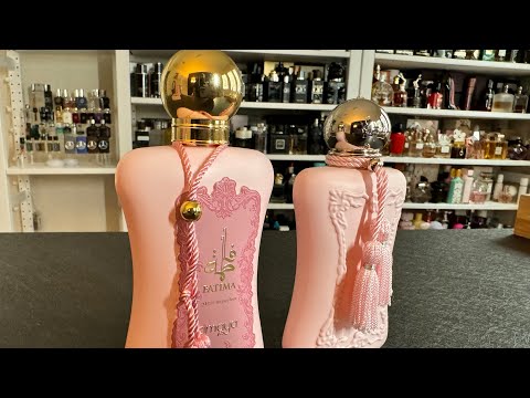 تقييم عطر فاطمة من زمايا افضل بديل لعطر ديلينا من دي مارلي السعر صدمة