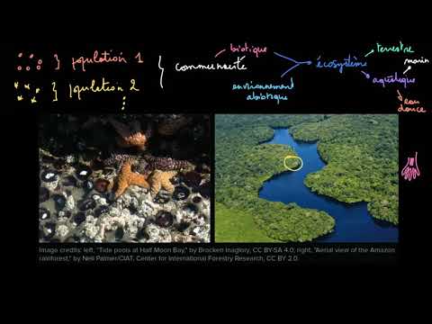 Vidéo: Différence Entre Biome Et écosystème