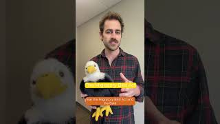 ESA 50th: Bald Eagle