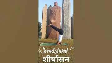 #yoga #youtubeshorts #shorts #reels #yogaeveryday #nature #trending #योग #शीर्षासन #headstand #love