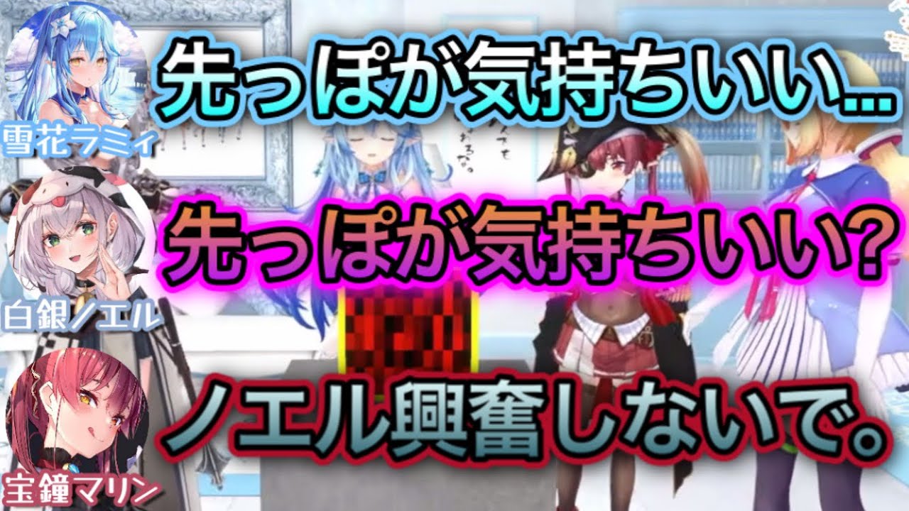 ラミィの一言で思わず興奮してしまうノエル団長【雪花ラミィ,アキロゼ,宝鐘マリン,白銀ノエル/切り抜き】