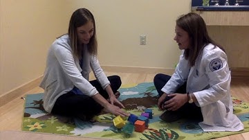 Prelinguistic Milieu Teaching