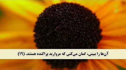 سوره انسان (ترجمه فارسی)
