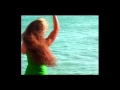 キングオブスチールギター魅惑のハワイアン