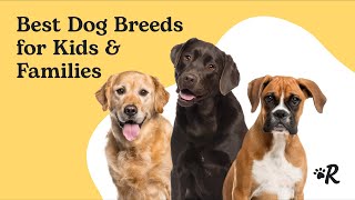 Best Dog Breeds for Kids and Families by Rover 2,977 views 8 months ago 4 minutes, 55 seconds