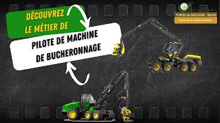 Pilote De Machine De Bucheronnage