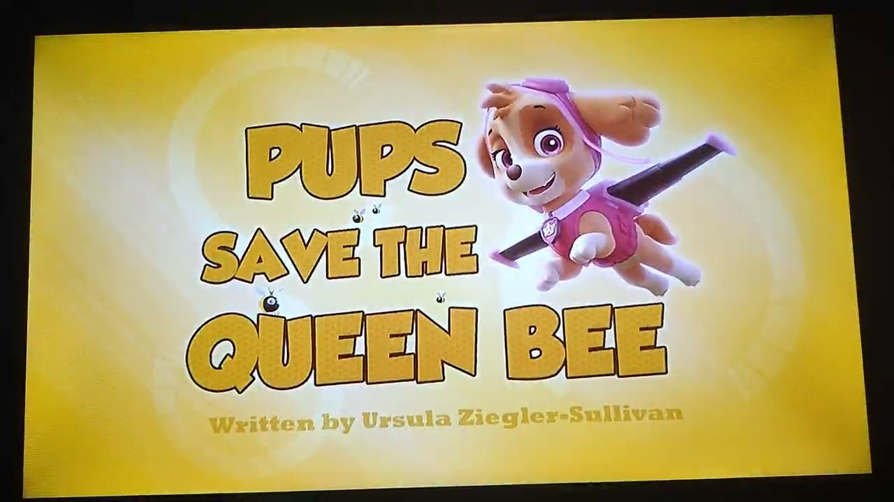 Pups Save The Queen Bee Title Card 