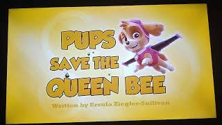 Pups Save The Queen Bee Le Card