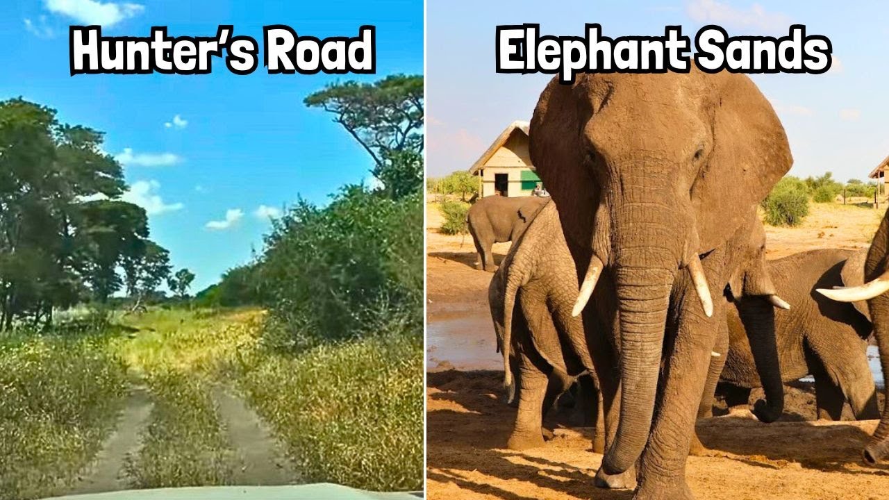 Elephant Sands + Hunter's Road BOTSWANA Ep15