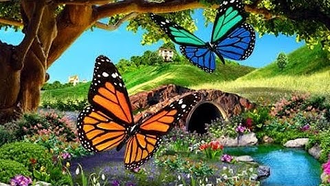 سورة الرعد كاملة 🍃 بصوت القارئ الشيخ ياسر الدوسري 🍃 تلاوة جميلة ورائعة جداً 💜🧡 بدون حقوق