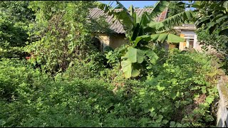 CLEAN UP the abandoned house and the overgrown garden for the MOST WONDERFUL TRANSFORMATION by Cleanup Overgrown 58,100 views 7 months ago 26 minutes