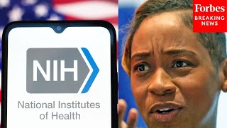 'You Can't Just Turn Back On A Clinical Trial': MA AG Andrea Campbell Shreds NIH Funding Cuts