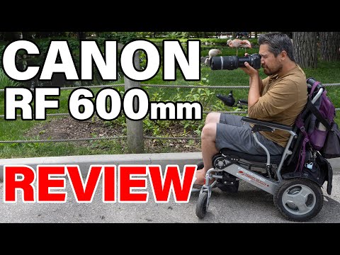 The best first lens for wildlife? Canon RF 600mm F11 Review