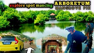 Arboretum mangrove PIK jakarta utara | rute dan explore spot mancing liar