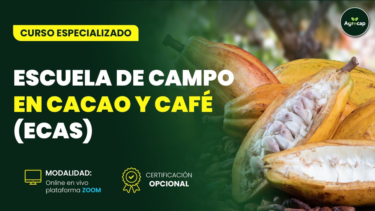 CURSO GRATUITO:ESCUELA DE CAMPO EN CACAO Y CAFÉ (ECAS)  - MÓDULO I