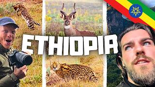 We Went to Ethiopia for Wildlife — But Didn't Expect This