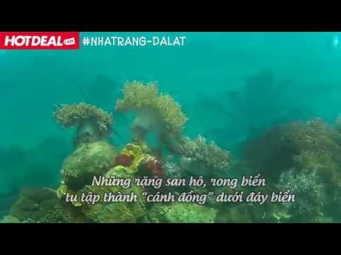 Nha Trang - Đà Lạt: Thiên đường du lịch hè 2017