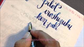 Waterman 94 Factory Original Music Nib + Pilot Iroshizuku Kon Peki Ink