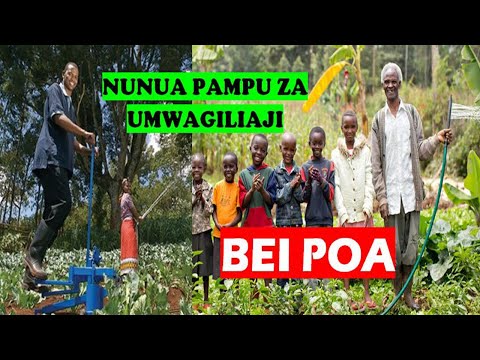 Video: Qnits ukaguzi na ukaguzi