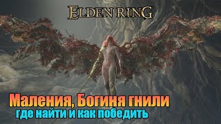 Elden Ring - гайд где найти Малению, богиню гнили | секретная локация Эльфаэль, опора Святого Древа