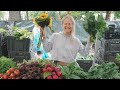 Farmers Markets in New York & Copenhagen