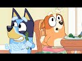 Bluey ganze folgen  bluey  deutsch offizieller kanal