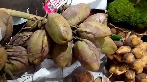 PUSHPOLSAVAM - 2020 - Vid 3.