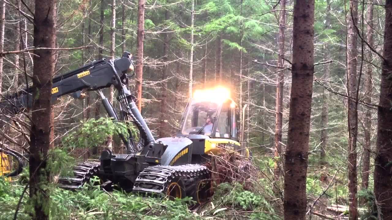 2008 Ponsse Ergo C4/H7 HD video