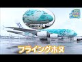 【のりもの図鑑】フライングホヌ（エアバスA380型機）