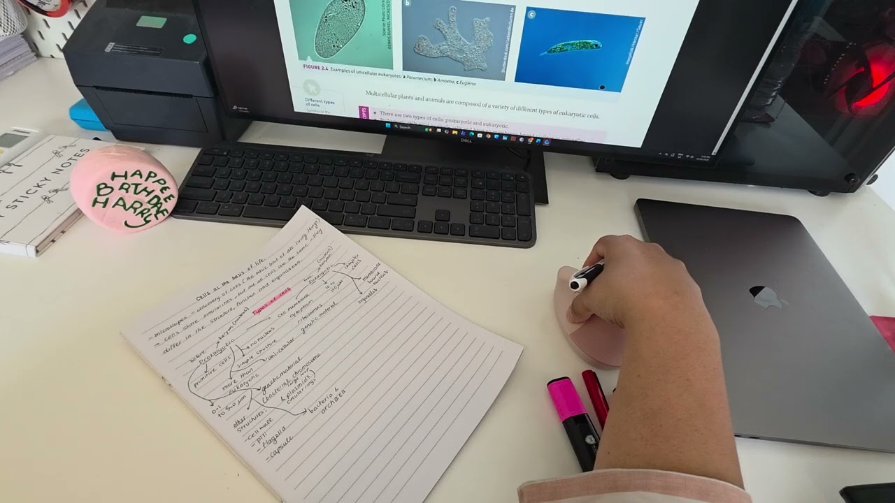 1 HOUR STUDY WITH ME | Background noise | No break | No music 