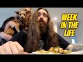 ...