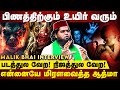    10     malik bhai interview  cube tamil