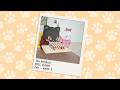The PenGon EPIC FUNNY l Feb – Week 3 😸