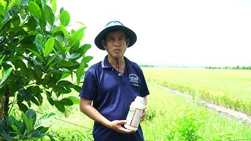 BÀI THI #107 NGUYỄN THANH SANG (ĐỒNG THÁP)