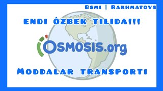 Moddalar transporti osmosis o'zbek tilida