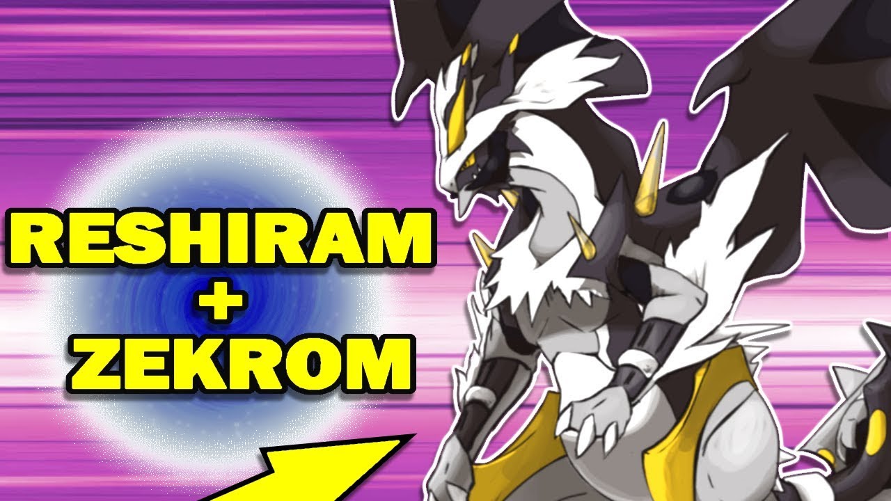 Zekrom + Reshiram + Kyurem = ¿¿??  Pokemon fusion art, Pokemon, Pokemon  dragon