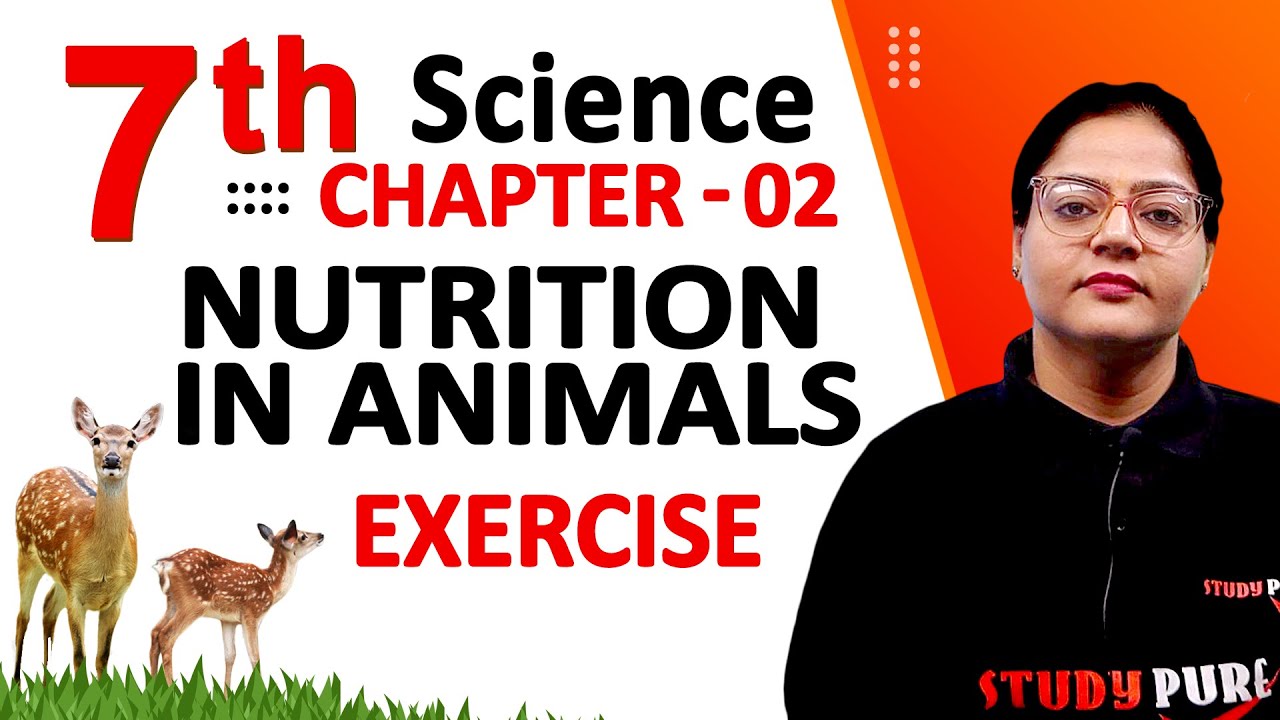Class 7th Science Chapter 2 | Nutrition in Animals | Exercise - YouTube