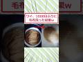 ワイ、1000日ぶりに毛布洗った結果ww #2ch面白いスレ #2ch #5ch #shorts