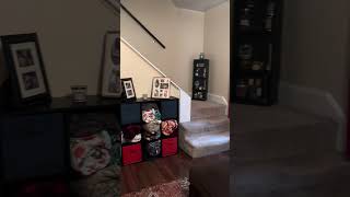 House Hunting With Your Dog A Dog s Point of View