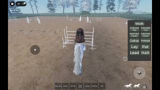 Mistys first time high jumping/mse