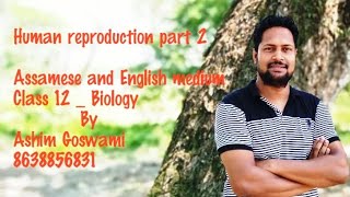 Human reproduction part 2/ NEET/Biology/ assamese and english medium