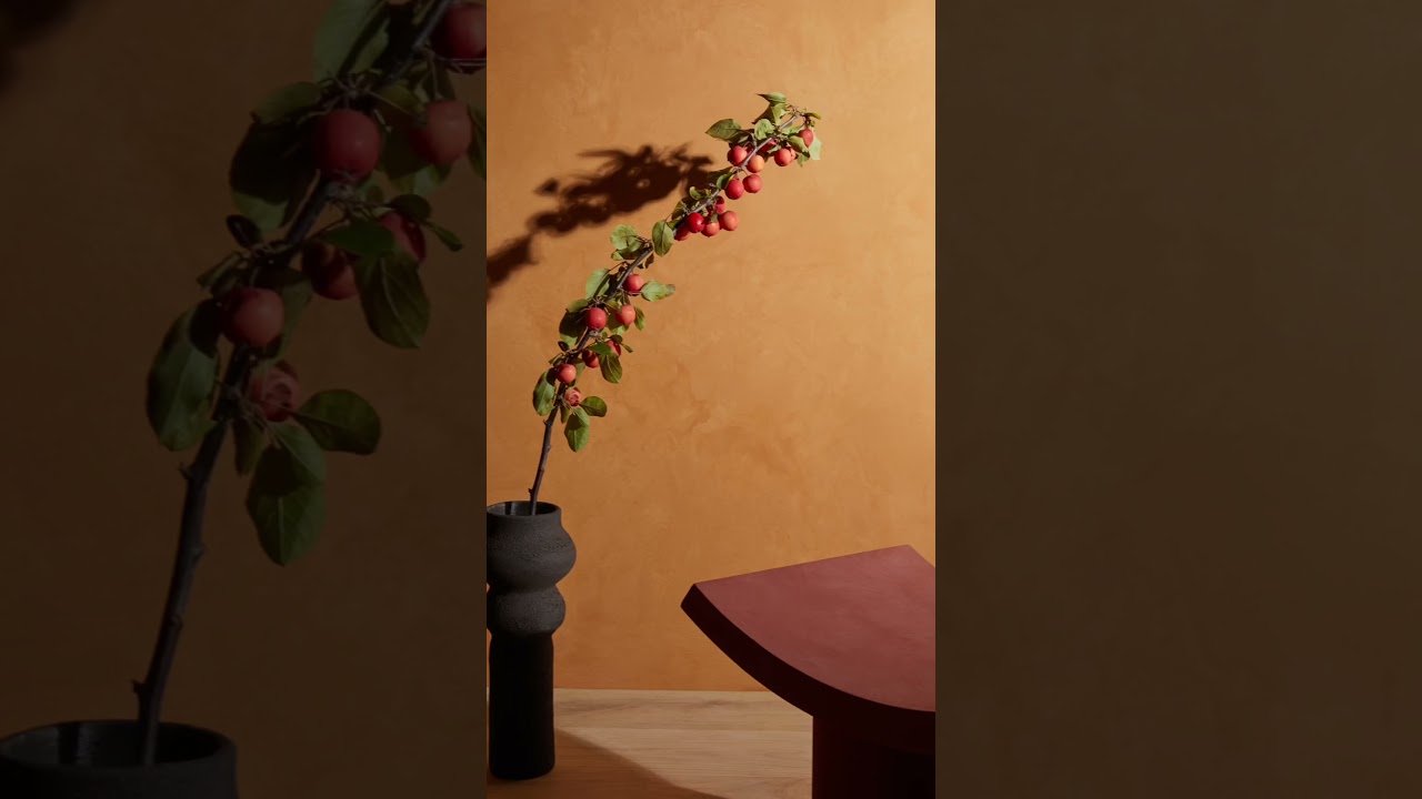 🎉 We’ve Launched Jotun Paints today at Speedex Tools stores at Al Quoz & DIP! 🖌️