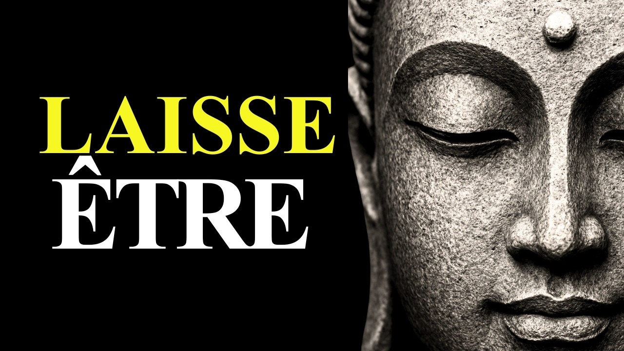 Que Se Passe-T-Il Quand Vous Cessez De Résister À La Réalité ? | Enseignements Bouddhistes Expliqués