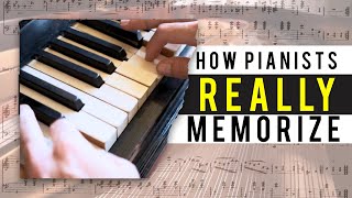 The 3 Types of Memorization for Pianists Guide