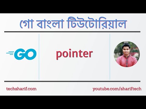 1.6.1 Understanding pointers and their role in memory management | go | golang | bangla