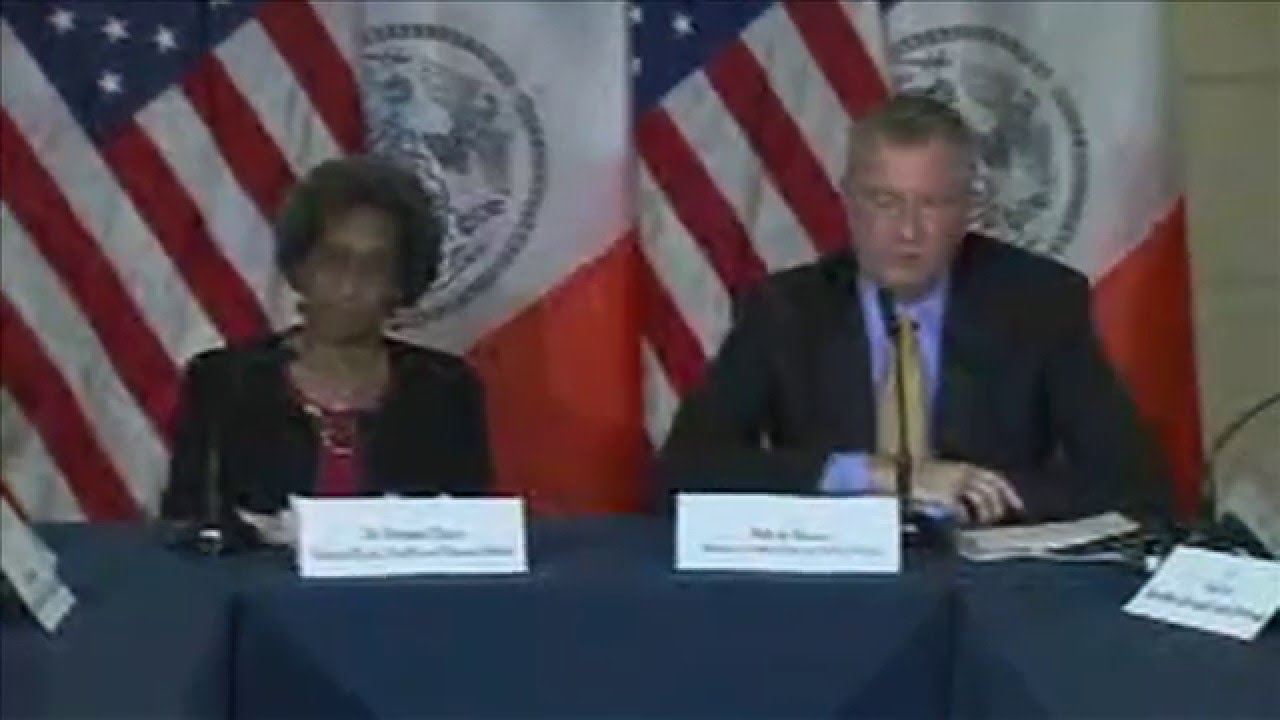Mayor de Blasio Appoints Herminia Palacio as Deputy Mayor For Health & Human Services
